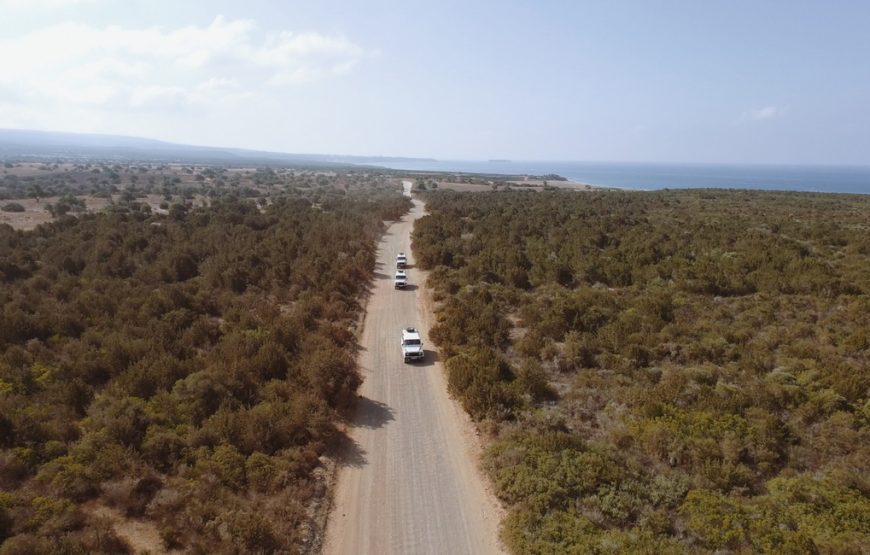Akamas Peninsula – Explore the Wild Northwestern Tip of Cyprus