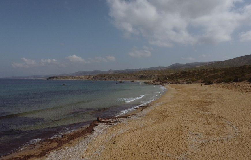 Akamas Peninsula – Explore the Wild Northwestern Tip of Cyprus